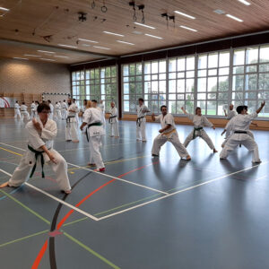SKS Karate Seminar 2020