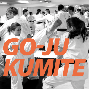 Go-Ju Kumite