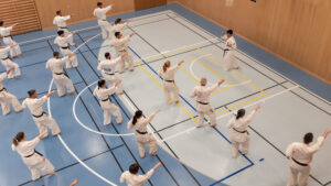 Kata Seminar Baden